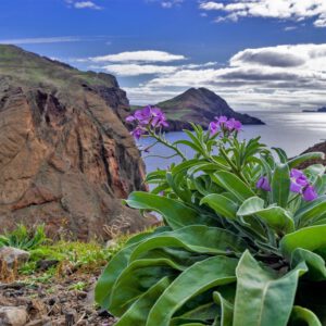 Madeira: Poznávání a turistika ostrovem věčného jara