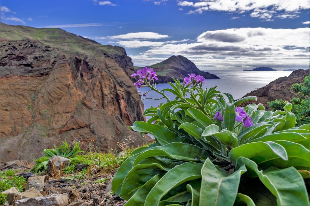 madeira-turisticka-ii-foto-2