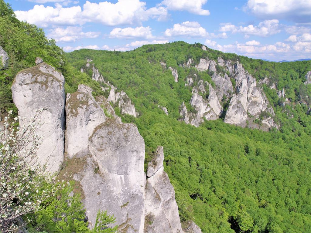 Biele Karpaty a Javorníky: rezervace na Pomezí Biele Karpaty a Javorníky: rezervace na Pomezí