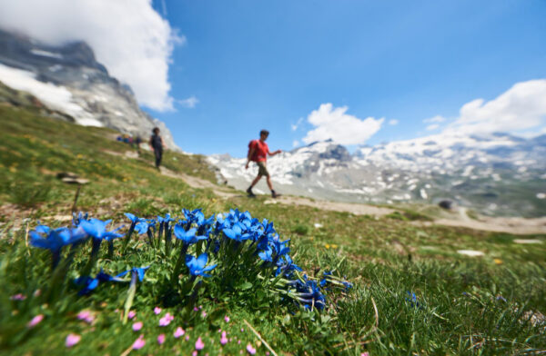 Kouzelná Silvretta: Lanovkami za výhledy