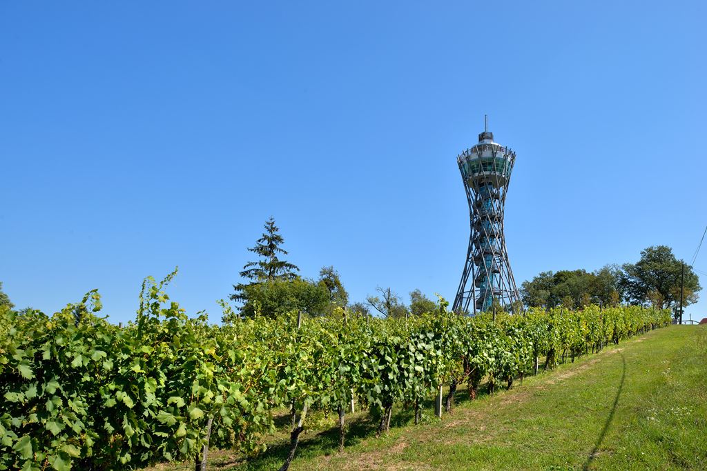 moravske-toplice-foto